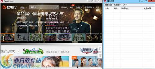 新疆饭店爆料视频播放器,揭秘事件背后真相  第1张