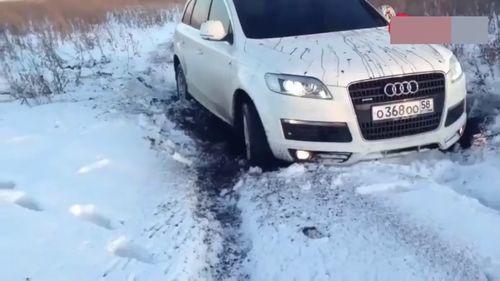 哈佛最新爆料消息视频播放,最新爆料视频深度解析  第1张