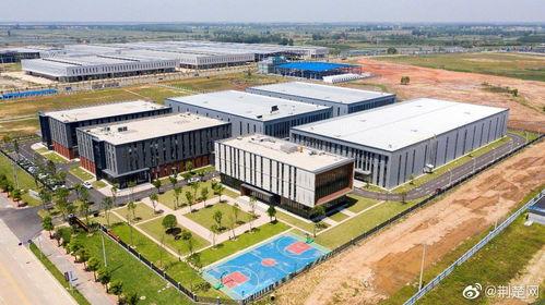 嘉鱼新闻爆料最新消息,重大事件引发社会关注! 第1张 嘉鱼新闻爆料最新消息,重大事件引发社会关注! 第1张